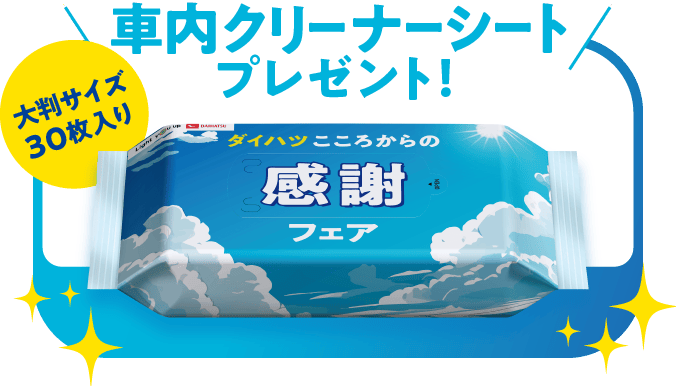 車内クリーナーシートプレゼント!(大判サイズ30枚入り)